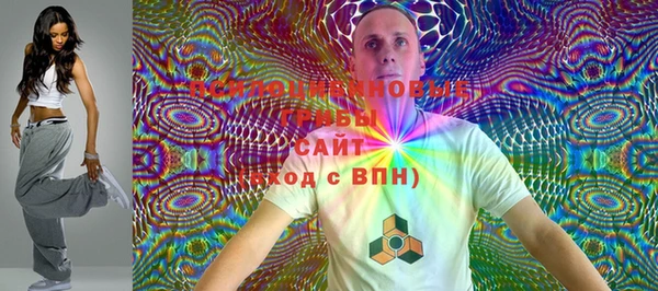 прущая мука Богородицк
