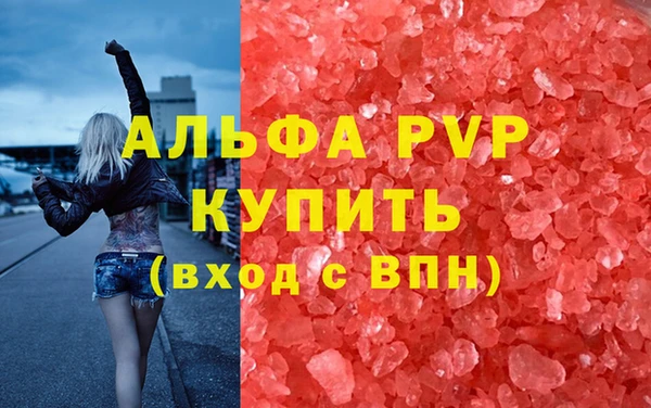 стаф Богородск