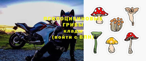 прущая мука Богородицк