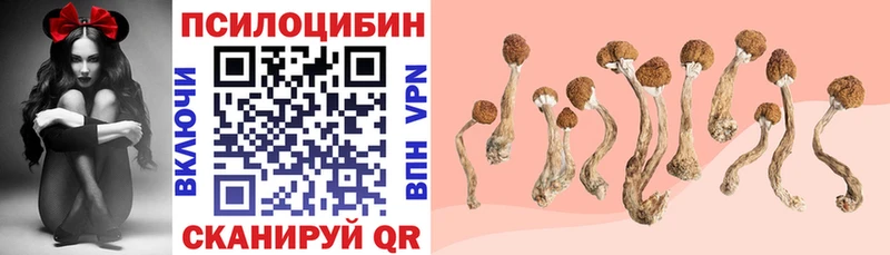 Псилоцибиновые грибы GOLDEN TEACHER  Сковородино 